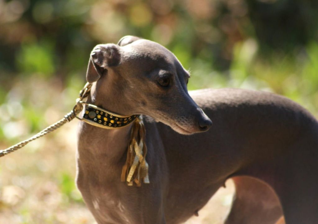 Suzy Des Petites Bouilles D’Eole