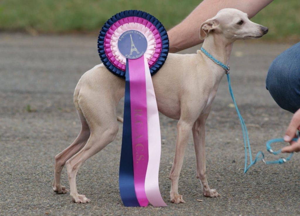 Ultime venus Des Petites Bouilles D’Eole