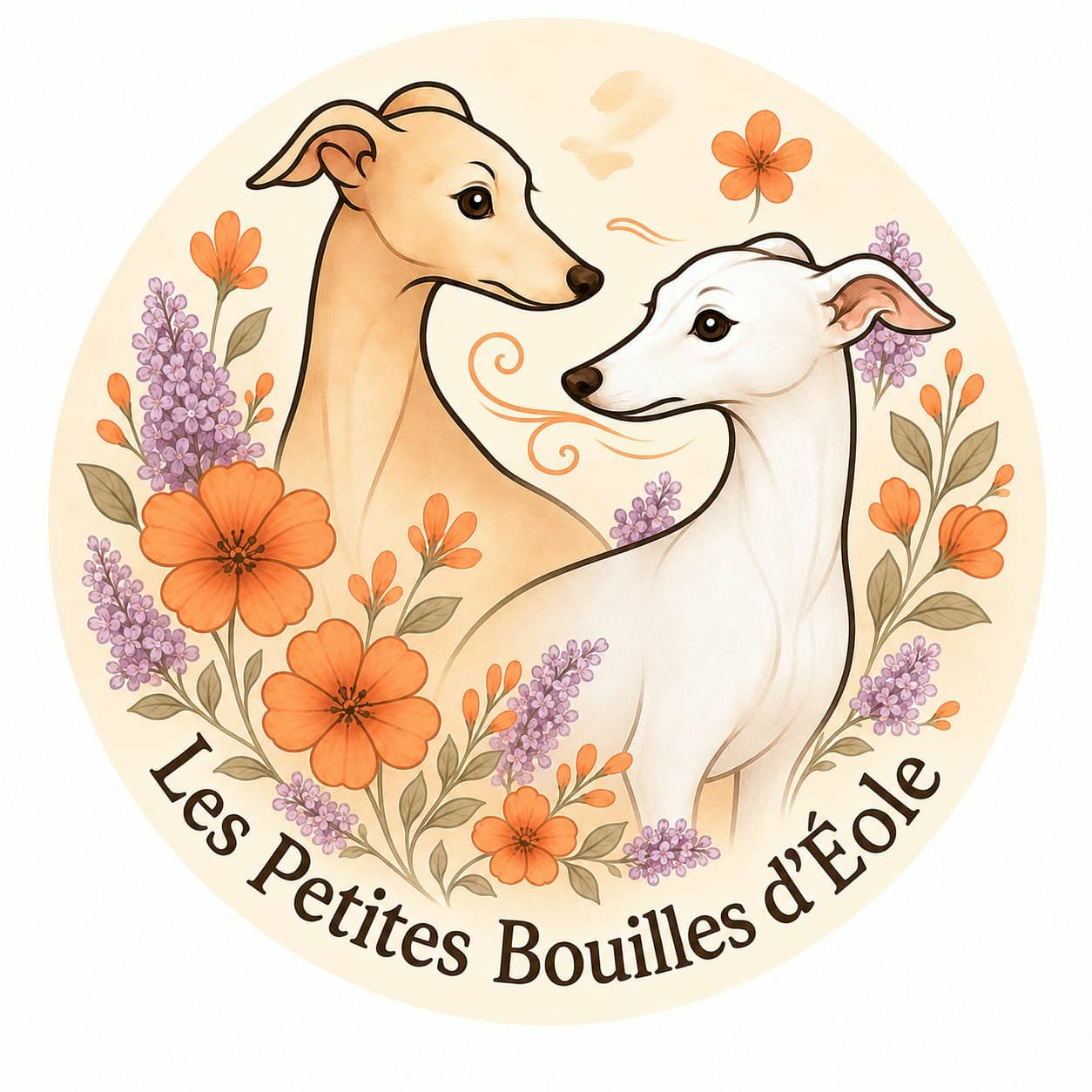 Chiot Petit Levrier Italien Des Petites Bouilles D’Eole
